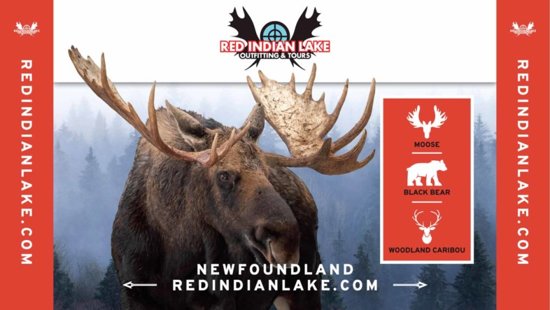 Newfoundland big game hunting Moose Woodland Caribou and Black Bear at Red Indian Lake Outfitting