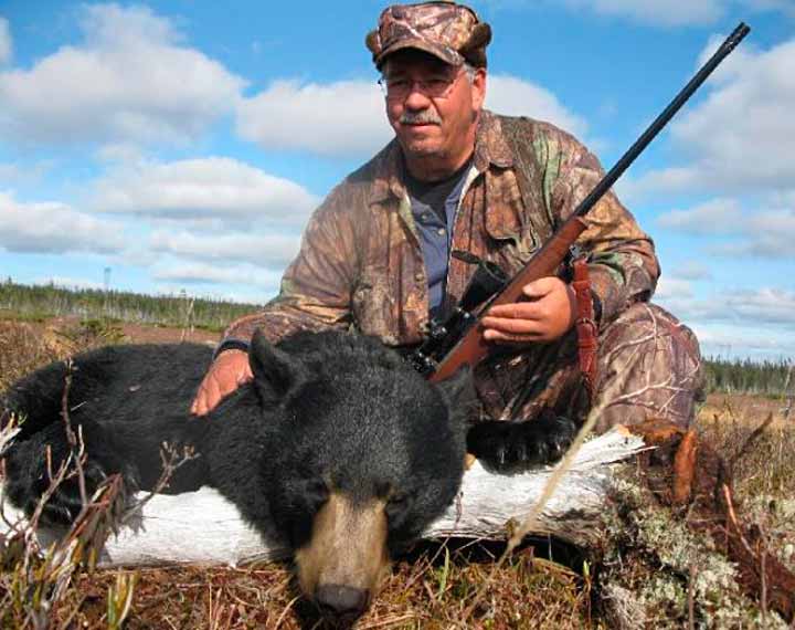 Newfoundland Black Bear Hunts Red Indian Lake Outfitting NL