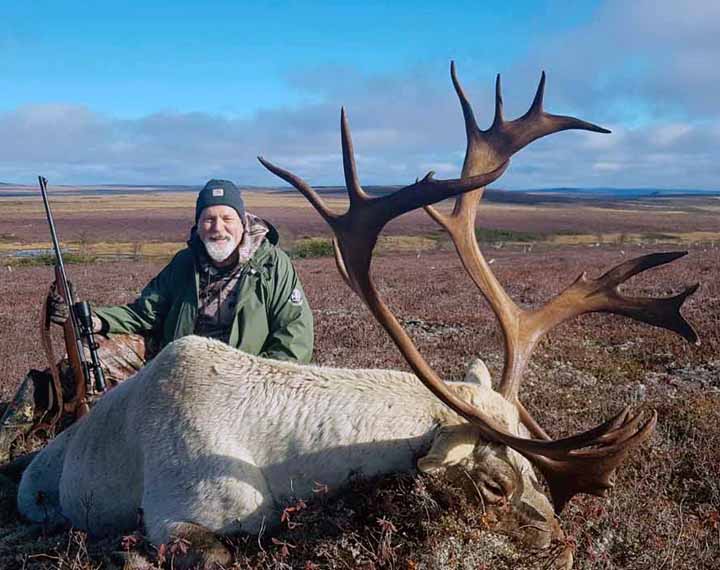 Newfoundland Woodland Caribou Hunts Woodland Caribou hunting Outfitter Red Indian Lake Outfitting NL